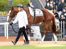 ����å��ǳ��������ɽ�����ޤ�