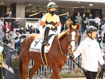 ����å��ǳ��������ɽ�����ޤ�