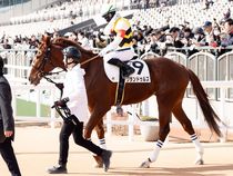 ����å��ǳ��������ɽ�����ޤ�