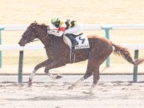 ����å��ǳ��������ɽ�����ޤ�