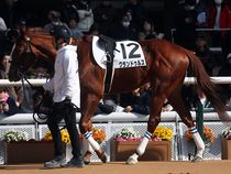 ����å��ǳ��������ɽ�����ޤ�