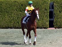 ����å��ǳ��������ɽ�����ޤ�