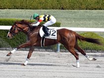 ����å��ǳ��������ɽ�����ޤ�