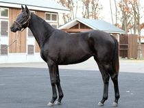 ����å��ǳ��������ɽ�����ޤ�