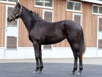 ����å��ǳ��������ɽ�����ޤ�