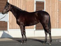 ����å��ǳ��������ɽ�����ޤ�