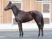 ����å��ǳ��������ɽ�����ޤ�