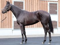 ����å��ǳ��������ɽ�����ޤ�