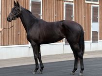 ����å��ǳ��������ɽ�����ޤ�