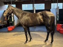 ����å��ǳ��������ɽ�����ޤ�