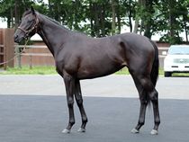 ����å��ǳ��������ɽ�����ޤ�