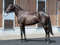 ����å��ǳ��������ɽ�����ޤ�