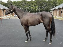 ����å��ǳ��������ɽ�����ޤ�