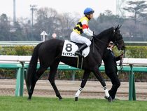 ����å��ǳ��������ɽ�����ޤ�