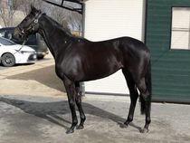 ����å��ǳ��������ɽ�����ޤ�