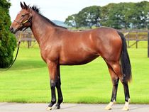 ����å��ǳ��������ɽ�����ޤ�