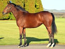 ����å��ǳ��������ɽ�����ޤ�