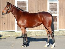 ����å��ǳ��������ɽ�����ޤ�