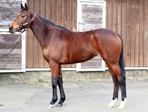 ����å��ǳ��������ɽ�����ޤ�