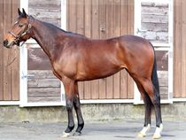 ����å��ǳ��������ɽ�����ޤ�