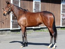 ����å��ǳ��������ɽ�����ޤ�