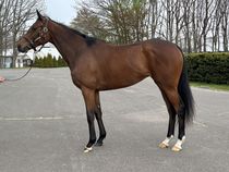 ����å��ǳ��������ɽ�����ޤ�