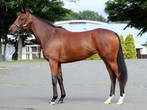 ����å��ǳ��������ɽ�����ޤ�