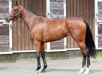 ����å��ǳ��������ɽ�����ޤ�