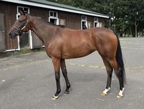 ����å��ǳ��������ɽ�����ޤ�