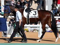 ����å��ǳ��������ɽ�����ޤ�