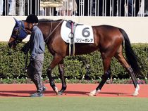 ����å��ǳ��������ɽ�����ޤ�