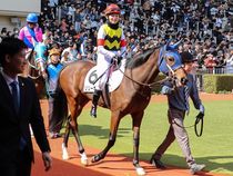 ����å��ǳ��������ɽ�����ޤ�