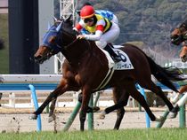 ����å��ǳ��������ɽ�����ޤ�