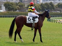 ����å��ǳ��������ɽ�����ޤ�