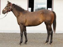 ����å��ǳ��������ɽ�����ޤ�