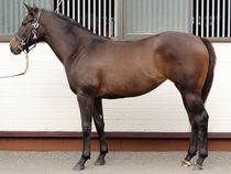 ����å��ǳ��������ɽ�����ޤ�