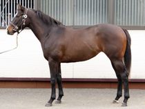 ����å��ǳ��������ɽ�����ޤ�