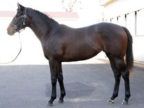 ����å��ǳ��������ɽ�����ޤ�