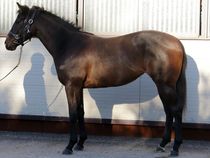 ����å��ǳ��������ɽ�����ޤ�