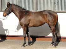 ����å��ǳ��������ɽ�����ޤ�