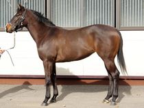 ����å��ǳ��������ɽ�����ޤ�