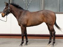 ����å��ǳ��������ɽ�����ޤ�