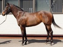 ����å��ǳ��������ɽ�����ޤ�