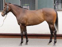 ����å��ǳ��������ɽ�����ޤ�