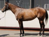 ����å��ǳ��������ɽ�����ޤ�