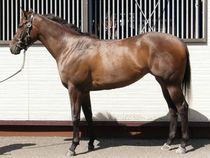 ����å��ǳ��������ɽ�����ޤ�