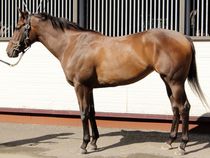 ����å��ǳ��������ɽ�����ޤ�