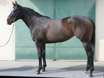 ����å��ǳ��������ɽ�����ޤ�