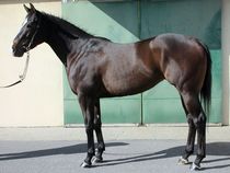 ����å��ǳ��������ɽ�����ޤ�