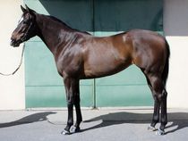 ����å��ǳ��������ɽ�����ޤ�